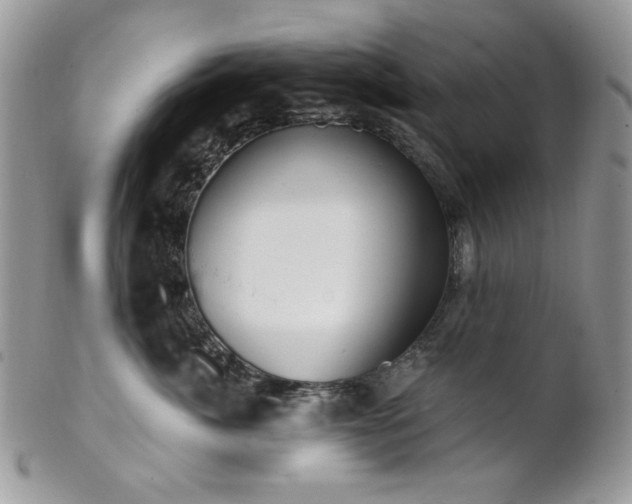 X0000102810764200808181223