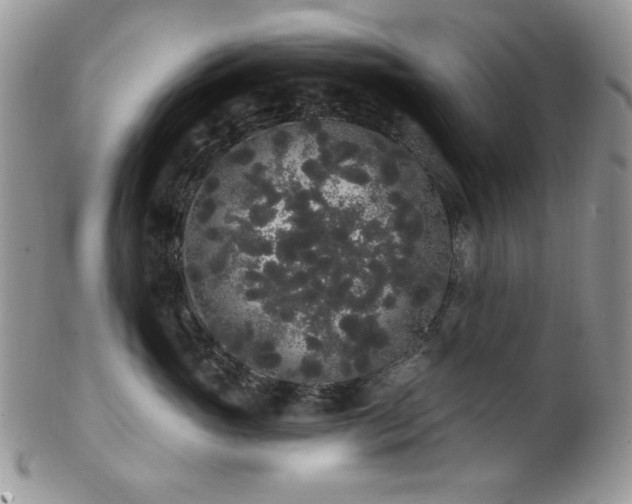 X0000102810765200808181223