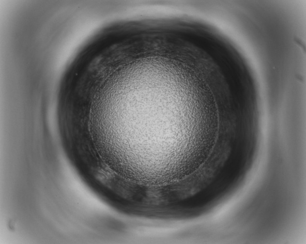 X0000102810766200808181223