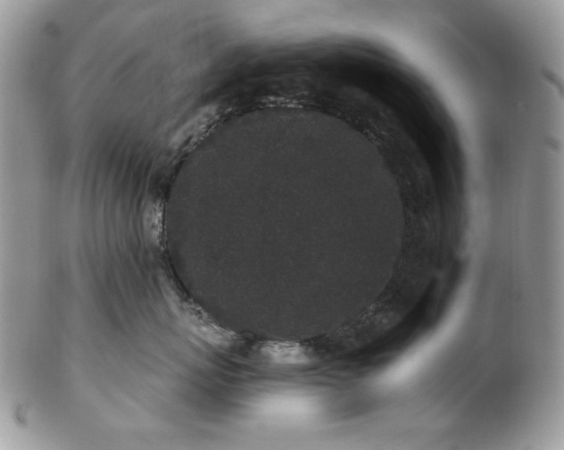 X0000102810767200808181223