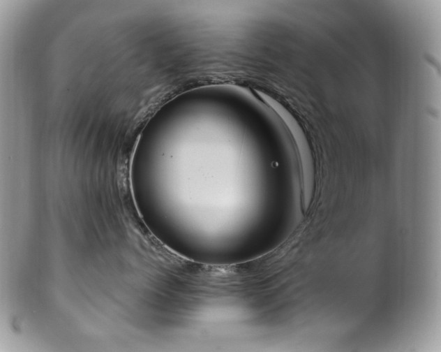 X0000102810768200808181223