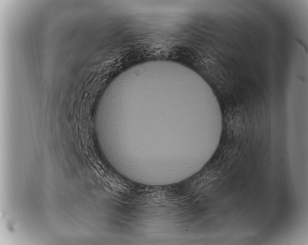 X0000102810769200808181222