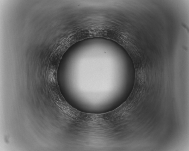 X0000102810770200808181222