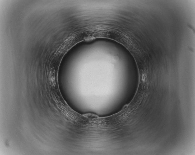 X0000102810771200808181222