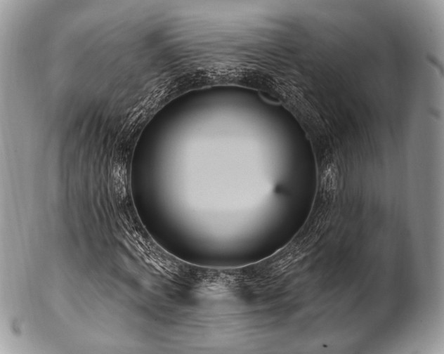 X0000102810772200808181222