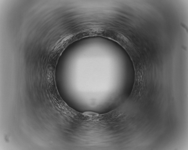 X0000102810773200808181222