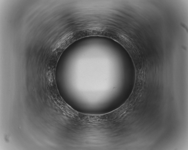 X0000102810774200808181222