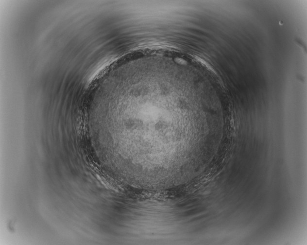 X0000102810775200808181222