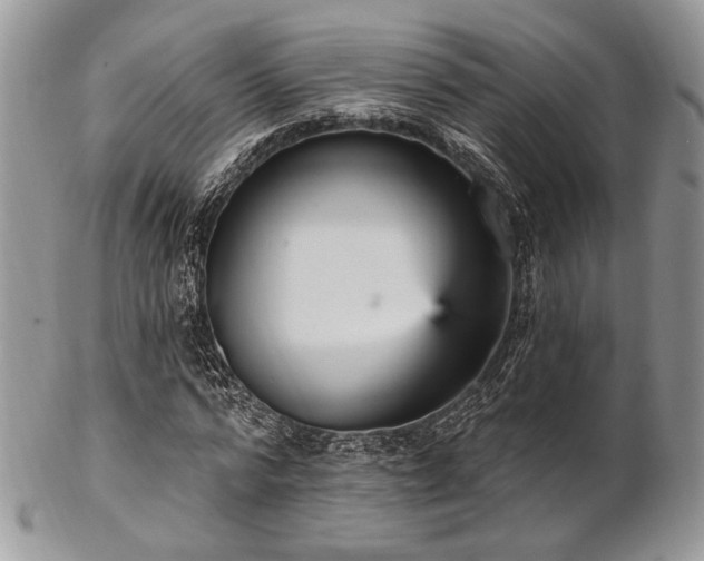 X0000102810776200808181222