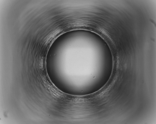 X0000102810777200808181222