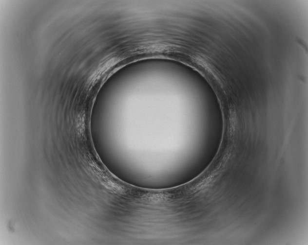 X0000102810778200808181222