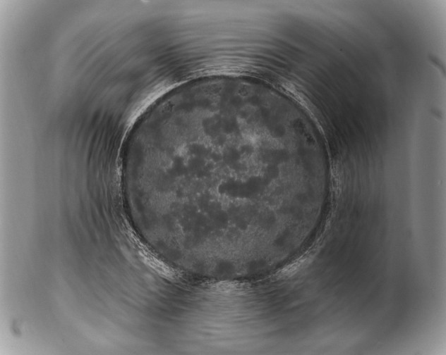 X0000102810779200808181222