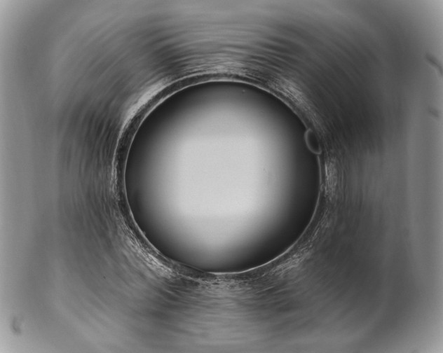 X0000102810780200808181222