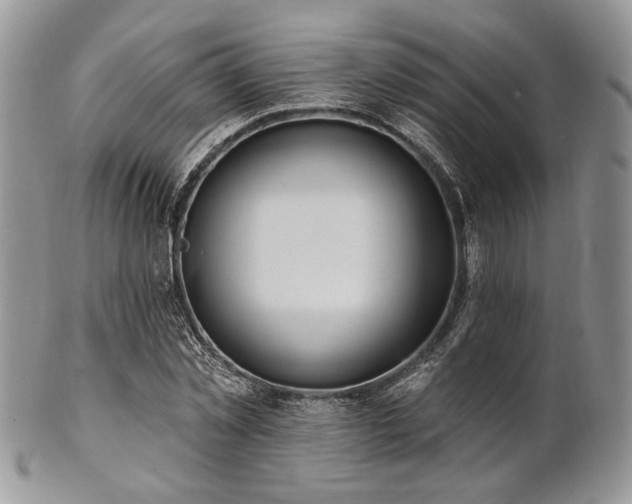 X0000102810781200808181222