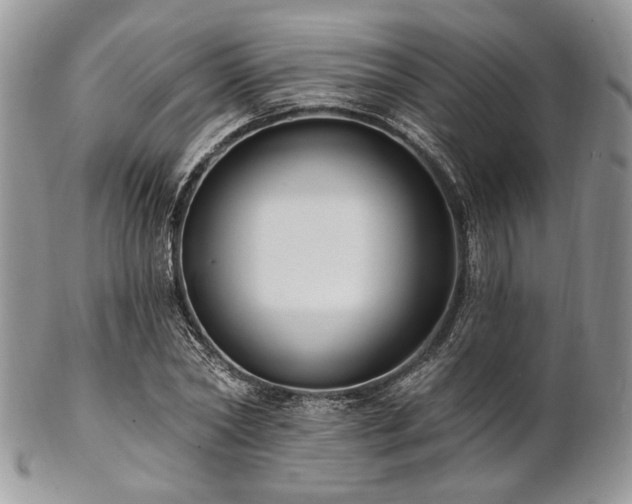 X0000102810782200808181222