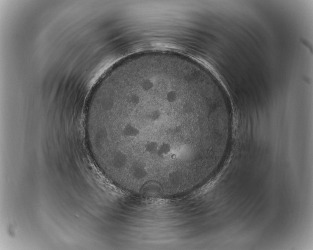 X0000102810783200808181222