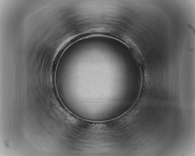 X0000102810784200808181222