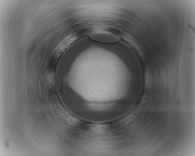 X0000102810785200808181222