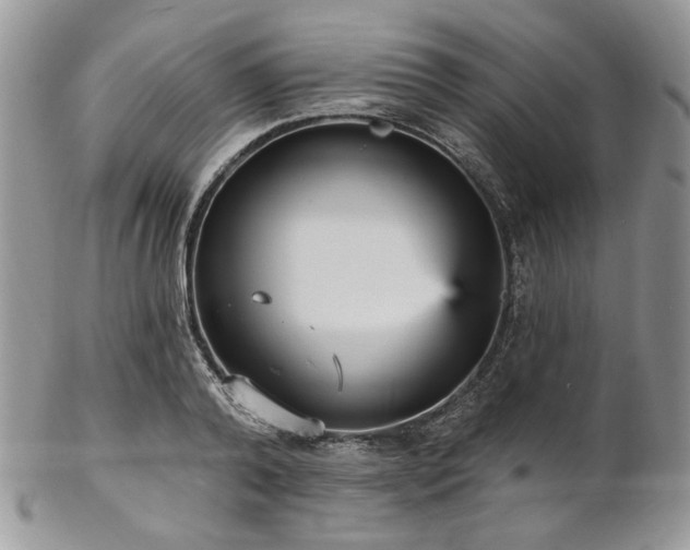 X0000102810792200808181222