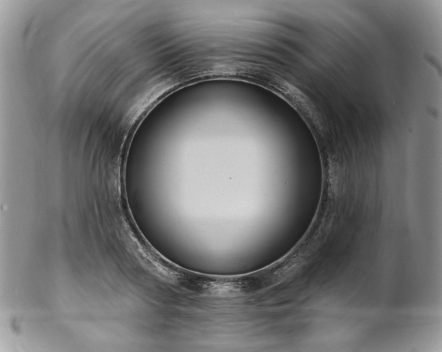 X0000102810794200808181222