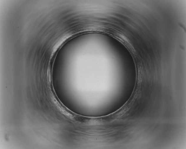 X0000102810796200808181222