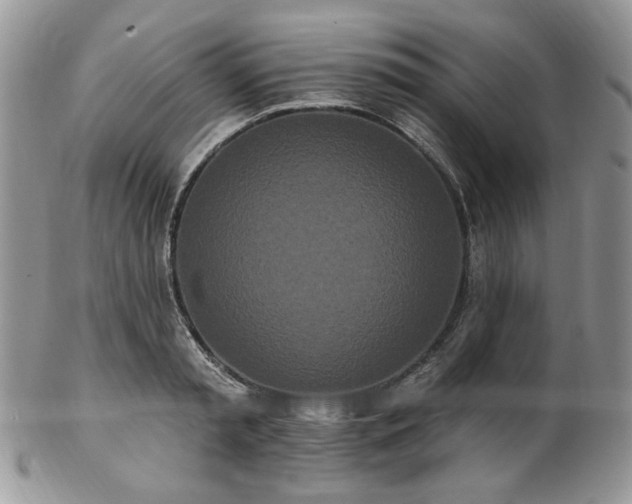 X0000102810797200808181222