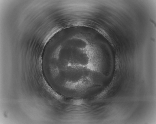 X0000102810798200808181222