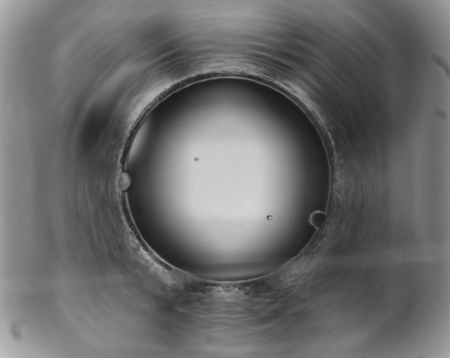 X0000102810799200808181222