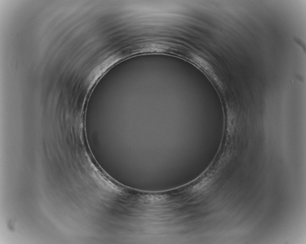 X0000102810802200808181222