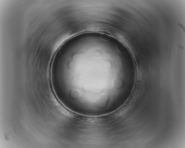 X0000102810803200808181222