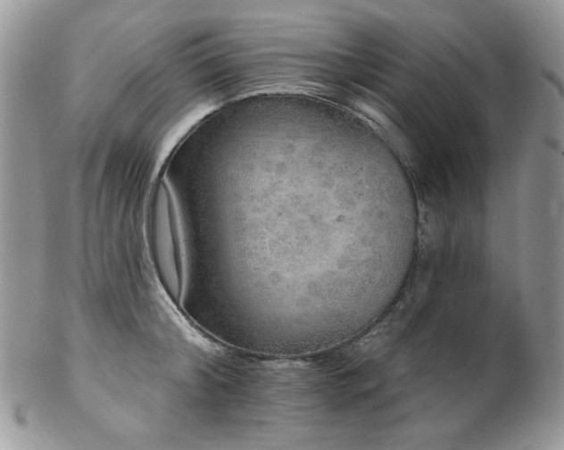 X0000102810804200808181222