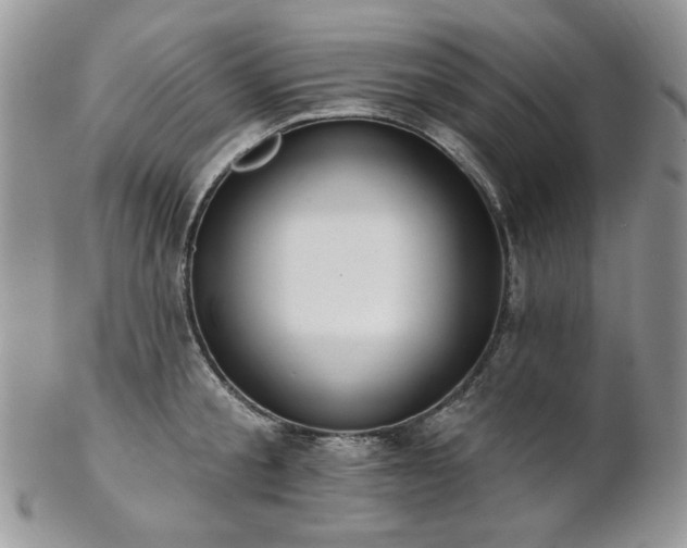 X0000102810805200808181222