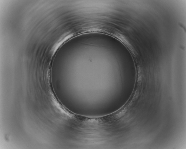 X0000102810806200808181222