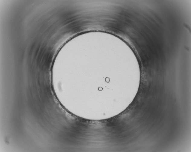 X0000102810807200808181222