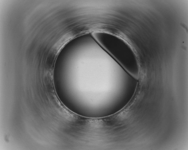 X0000102810809200808181222