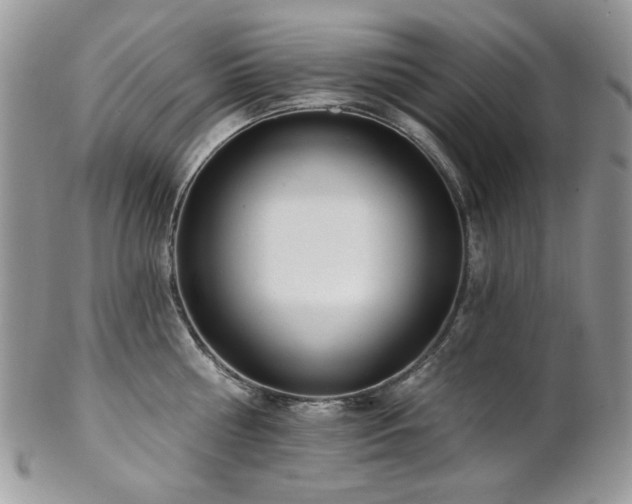 X0000102810810200808181222