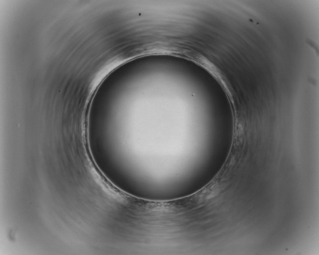 X0000102810811200808181222