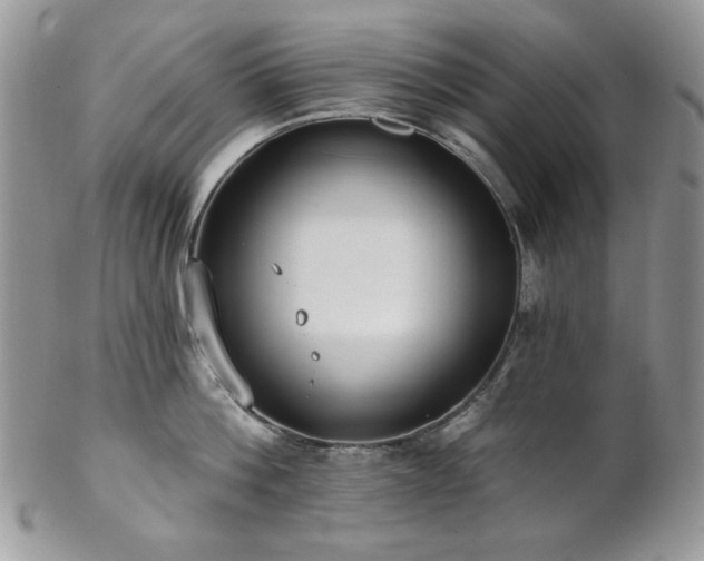 X0000102810812200808181222