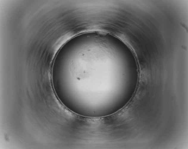 X0000102810813200808181222