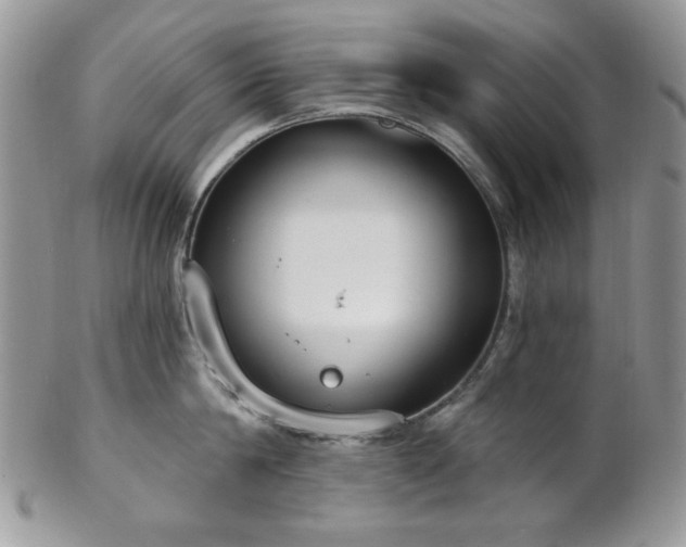 X0000102810814200808181222