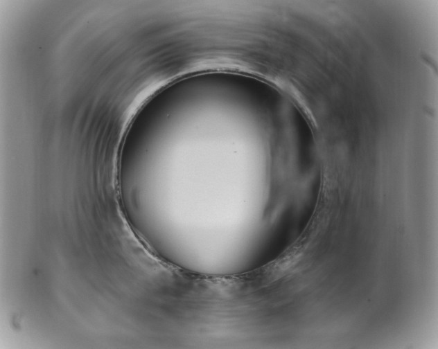 X0000102810815200808181222