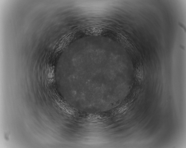 X0000102810818200808181221