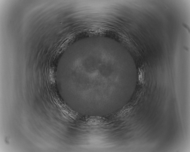 X0000102810819200808181221