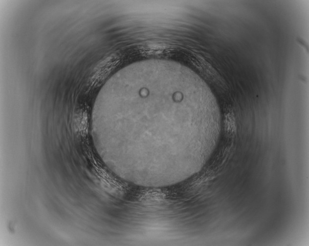 X0000102810820200808181221