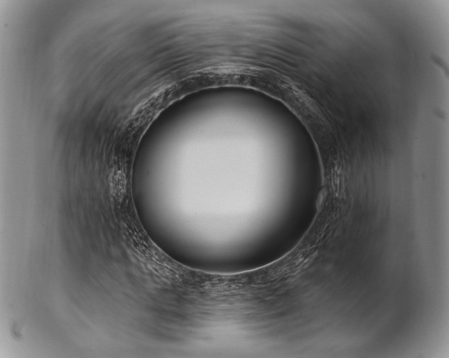 X0000102810821200808181221