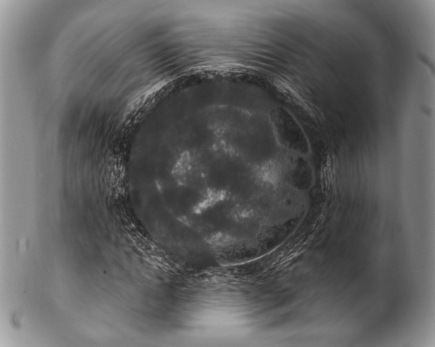 X0000102810822200808181221