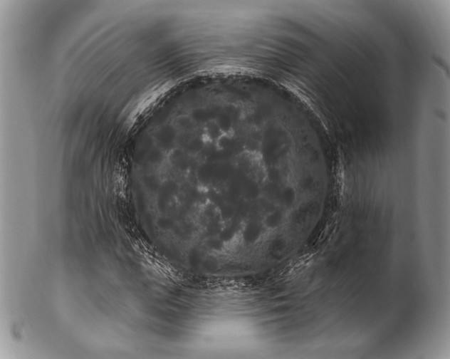 X0000102810823200808181221