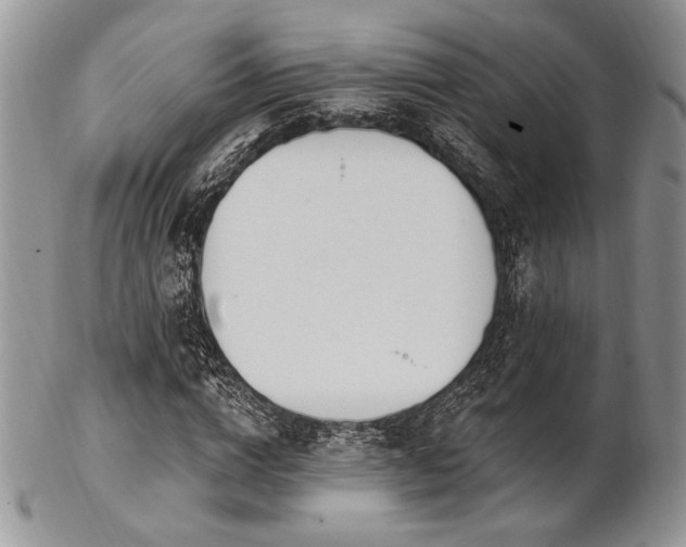 X0000102810824200808181221