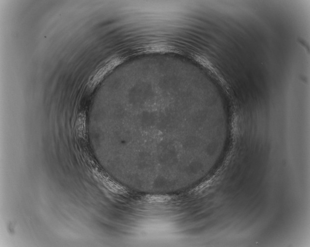 X0000102810825200808181221