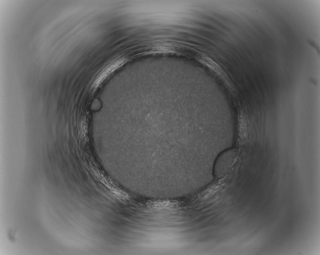 X0000102810826200808181221